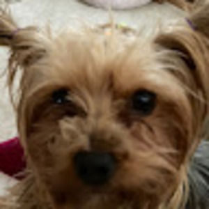 Meet your Posher, Ruby